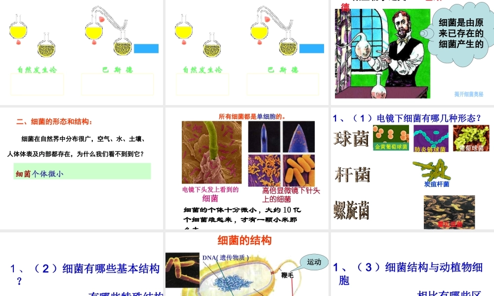 八年级生物上册 5.4.2《细菌》课件5 （新版）新人教版-（新版）新人教级上册生物课件