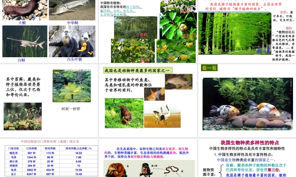 八年级生物上册 6.2《认识生物的多样性》课件1 （新版）新人教版-（新版）新人教级上册生物课件