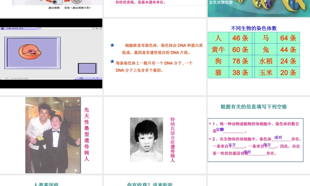 八年级生物上册 20.2《性状遗传的物质基础》课件2 （新版）北师大版-（新版）北师大版初中八年级上册生物课件