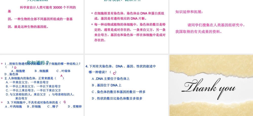 八年级生物上册 20.2《性状遗传的物质基础》课件2 （新版）北师大版-（新版）北师大版初中八年级上册生物课件