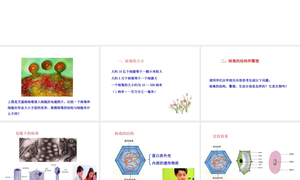 八年级生物上册 5.1.2 病毒课件（2）（新版）冀教版-（新版）冀教版初中八年级上册生物课件