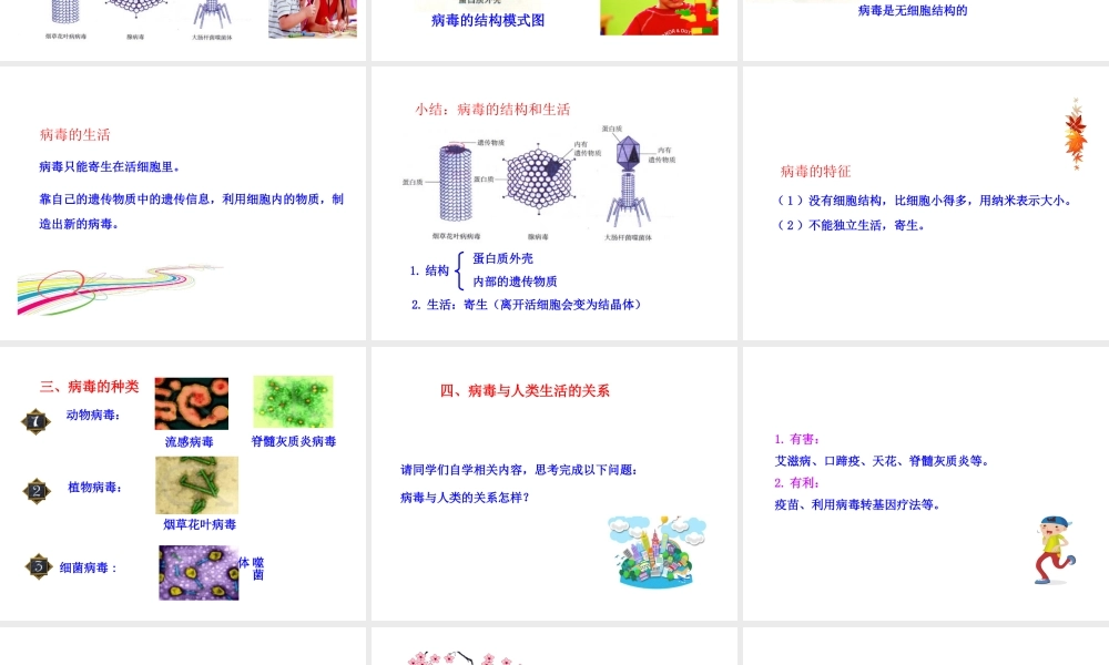 八年级生物上册 5.1.2 病毒课件（2）（新版）冀教版-（新版）冀教版初中八年级上册生物课件