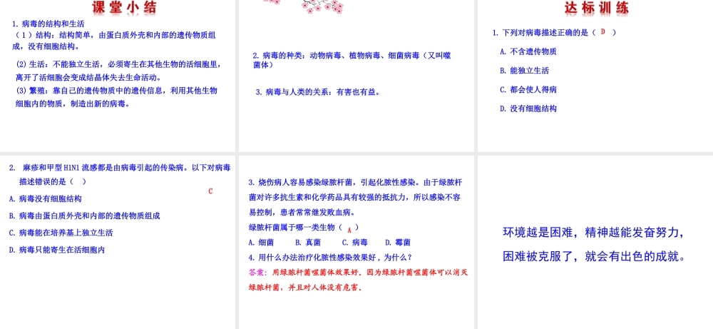 八年级生物上册 5.1.2 病毒课件（2）（新版）冀教版-（新版）冀教版初中八年级上册生物课件