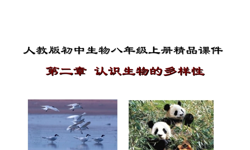八年级生物上册 6.2《认识生物的多样性》课件2 （新版）新人教版-（新版）新人教版初中八年级上册生物课件