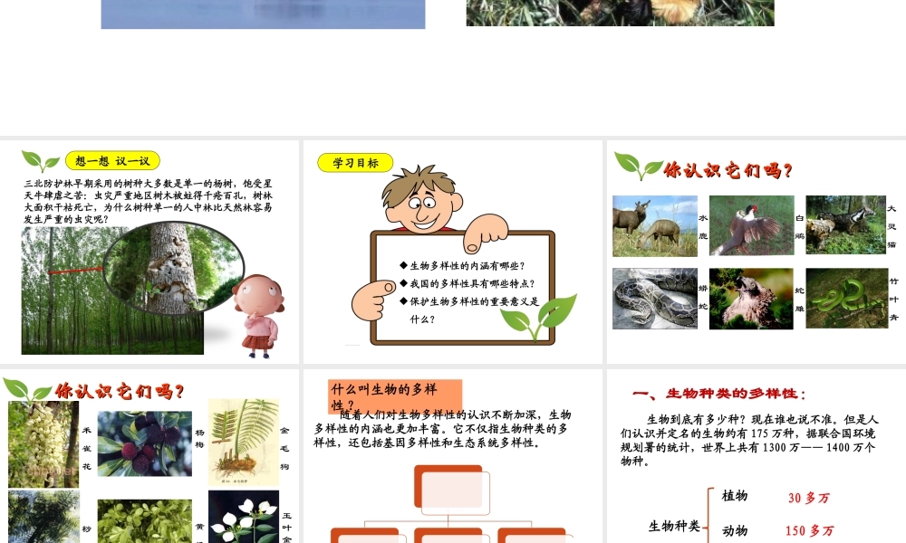 八年级生物上册 6.2《认识生物的多样性》课件2 （新版）新人教版-（新版）新人教版初中八年级上册生物课件