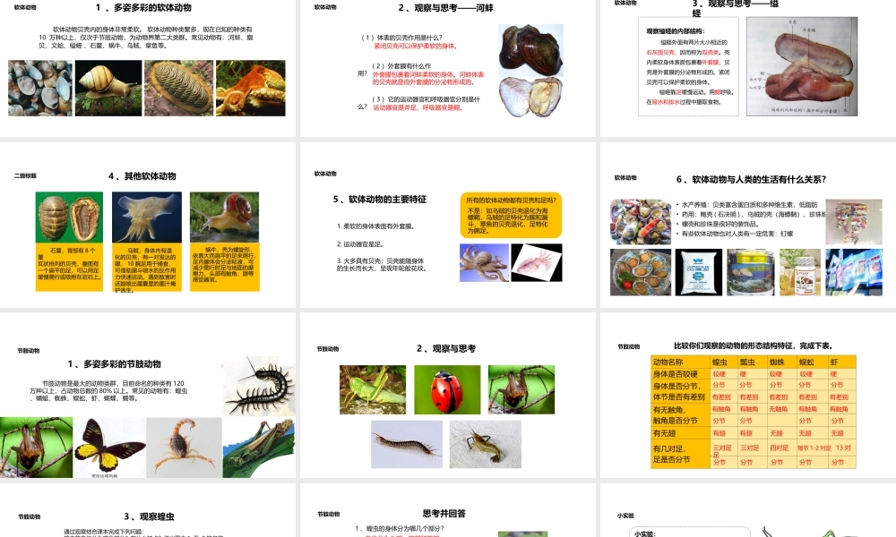 八年级生物上册 5.1.3《软体动物和节肢动物》教学课件 （新版）新人教版-（新版）新人教级上册生物课件