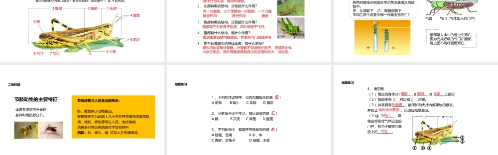 八年级生物上册 5.1.3《软体动物和节肢动物》教学课件 （新版）新人教版-（新版）新人教级上册生物课件