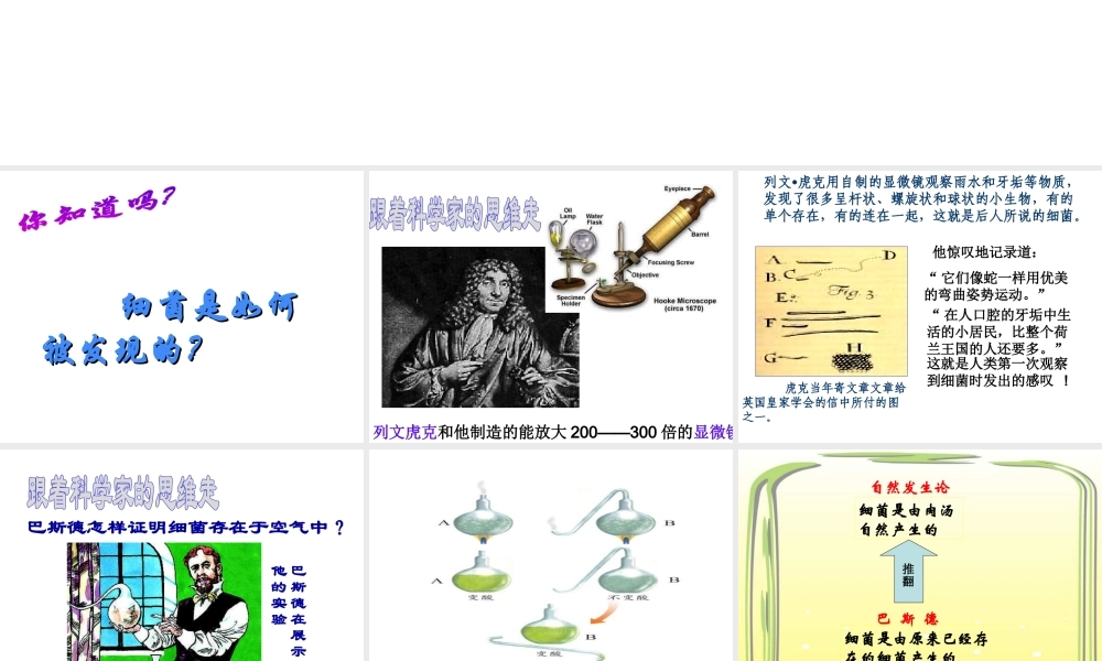 八年级生物上册 5.4.2细菌课件 （新版）新人教版-（新版）新人教级上册生物课件