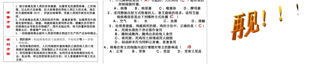 八年级生物上册 5.1.2 病毒课件（3）（新版）冀教版-（新版）冀教版初中八年级上册生物课件