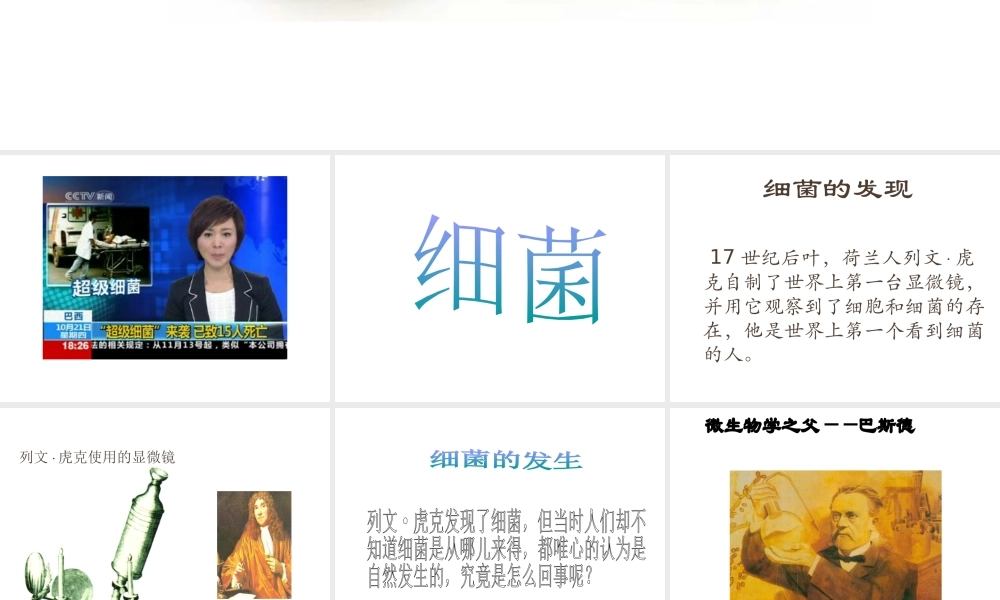 八年级生物上册 5.4.2细菌课件 人教新课标版