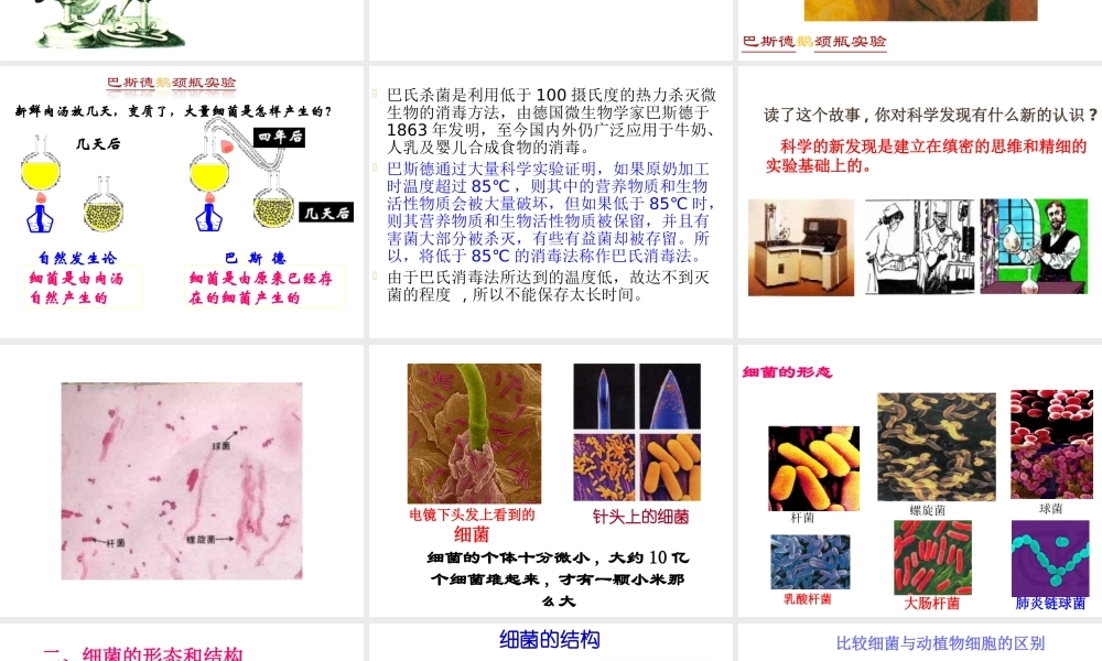 八年级生物上册 5.4.2细菌课件 人教新课标版