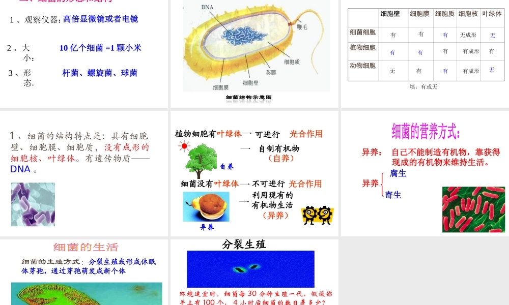 八年级生物上册 5.4.2细菌课件 人教新课标版