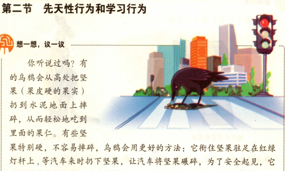 八年级生物上册 5.2.2 先天性行为和学习行为课件 新人教版