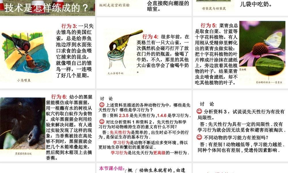 八年级生物上册 5.2.2 先天性行为和学习行为课件 新人教版