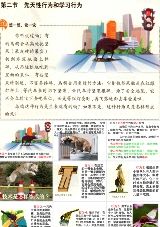 八年级生物上册 5.2.2 先天性行为和学习行为课件 新人教版