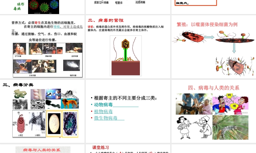 八年级生物上册 5.1.2 病毒课件（3）（新版）冀教版-（新版）冀教级上册生物课件