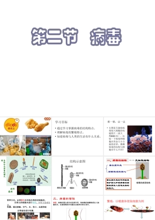 八年级生物上册 5.1.2 病毒课件（3）（新版）冀教版-（新版）冀教级上册生物课件