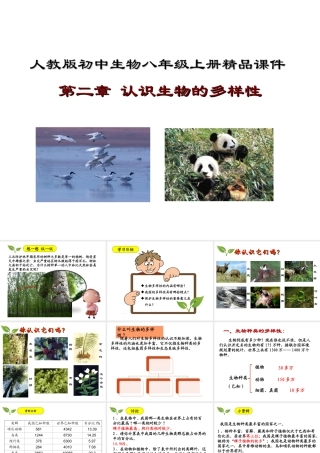 八年级生物上册 6.2《认识生物的多样性》课件2 （新版）新人教版-（新版）新人教级上册生物课件