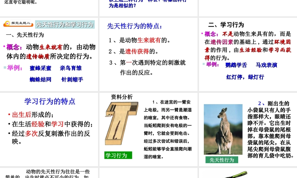 八年级生物上册 5.2.2 先天性行为和学习行为课件（1）（新版）新人教版-（新版）新人教版初中八年级上册生物课件