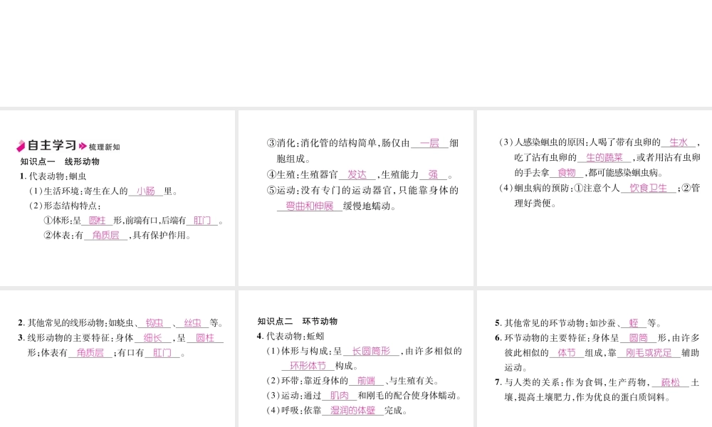八年级生物上册 5.1.2 线形动物和环动物作业课件 （新版）新人教版-（新版）新人教版初中八年级上册生物课件