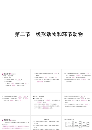 八年级生物上册 5.1.2 线形动物和环动物作业课件 （新版）新人教版-（新版）新人教版初中八年级上册生物课件