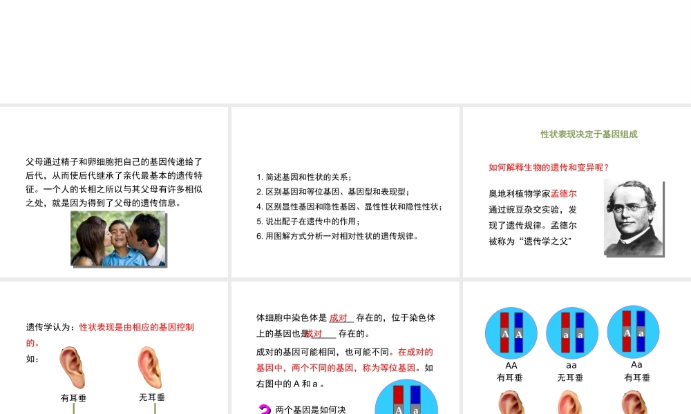 八年级生物上册 20.3 性状遗传有一定的规律性课件（1）（新版）北师大版-（新版）北师大版初中八年级上册生物课件