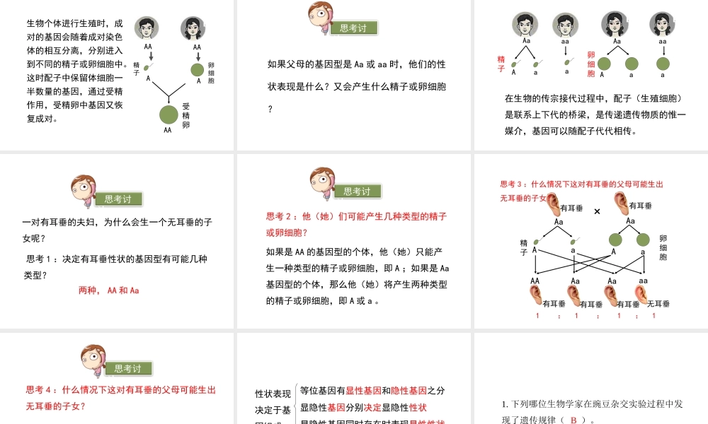 八年级生物上册 20.3 性状遗传有一定的规律性课件（1）（新版）北师大版-（新版）北师大版初中八年级上册生物课件