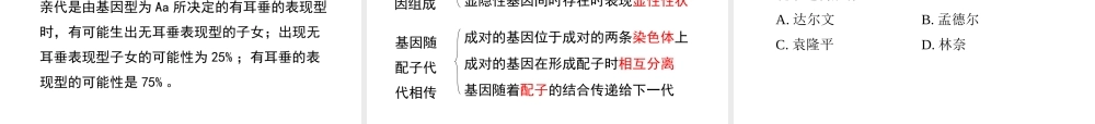 八年级生物上册 20.3 性状遗传有一定的规律性课件（1）（新版）北师大版-（新版）北师大版初中八年级上册生物课件