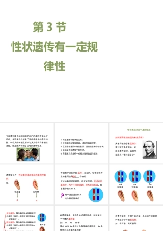 八年级生物上册 20.3 性状遗传有一定的规律性课件（1）（新版）北师大版-（新版）北师大版初中八年级上册生物课件