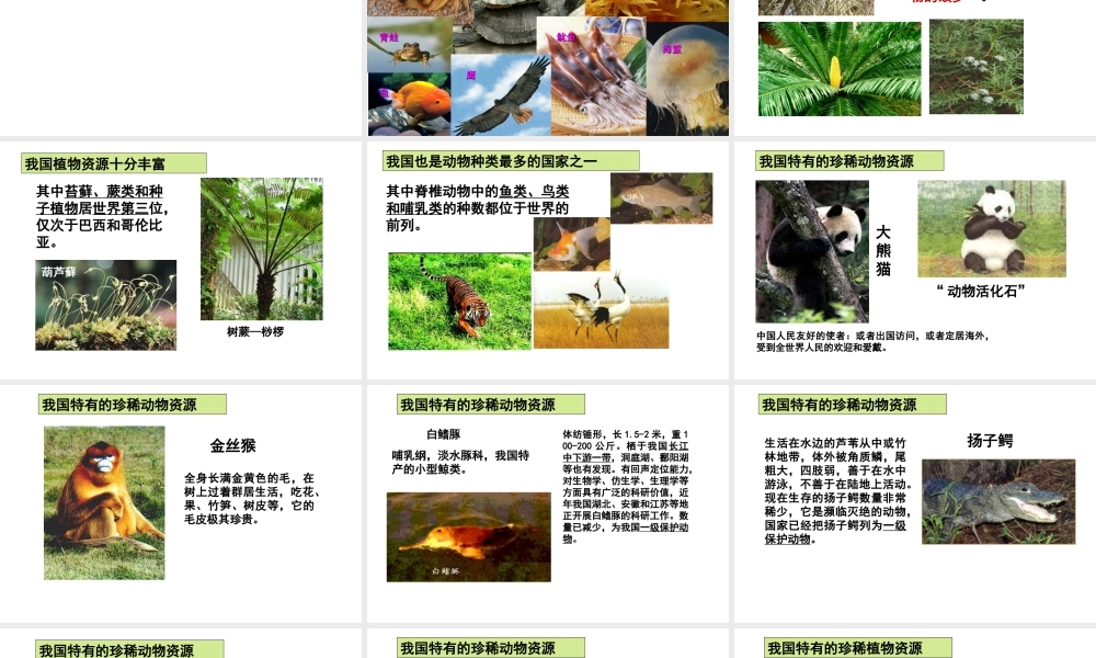八年级生物上册 6.2《认识生物的多样性》课件3 （新版）新人教版-（新版）新人教版初中八年级上册生物课件