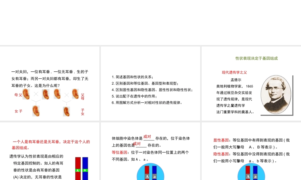 八年级生物上册 20.3 性状遗传有一定的规律性课件（2）（新版）北师大版-（新版）北师大版初中八年级上册生物课件