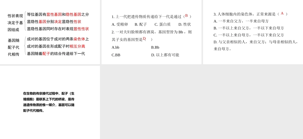 八年级生物上册 20.3 性状遗传有一定的规律性课件（2）（新版）北师大版-（新版）北师大版初中八年级上册生物课件