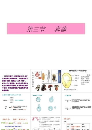 八年级生物上册 5.4.3 真菌课件 （新版）新人教版-（新版）新人教版初中八年级上册生物课件