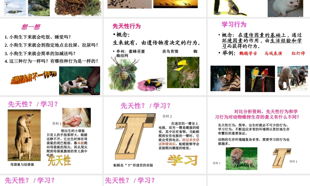 八年级生物上册 5.2.2 先天性行为和学习行为课件2 （新版）新人教版