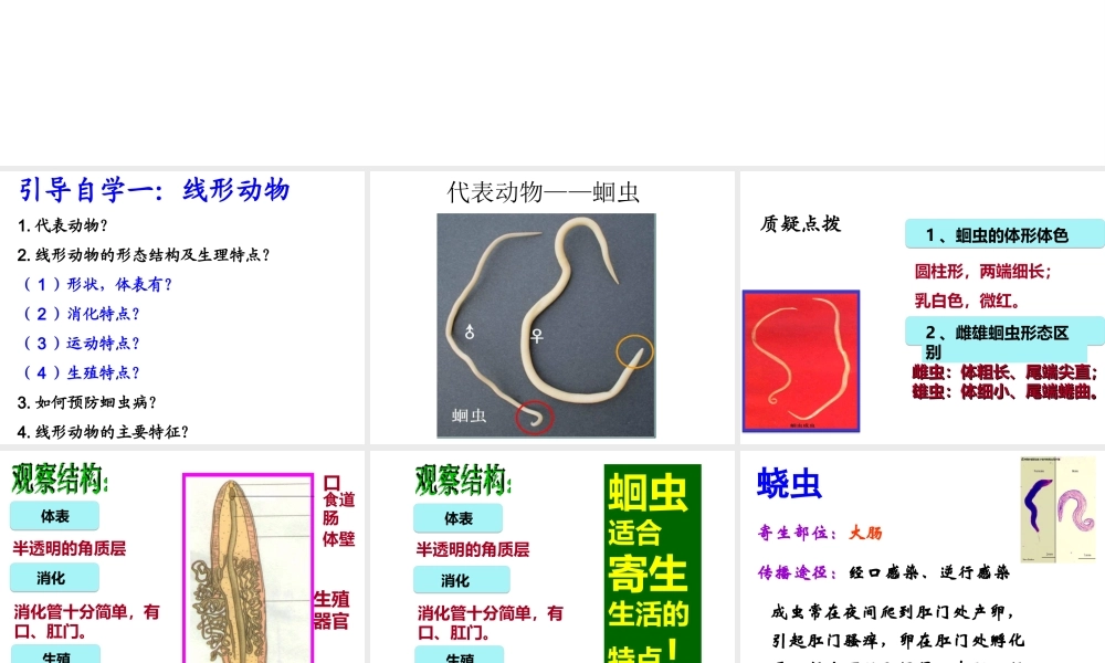 八年级生物上册 5.1.2 线形动物和环节动物课件 （新版）新人教版-（新版）新人教版初中八年级上册生物课件