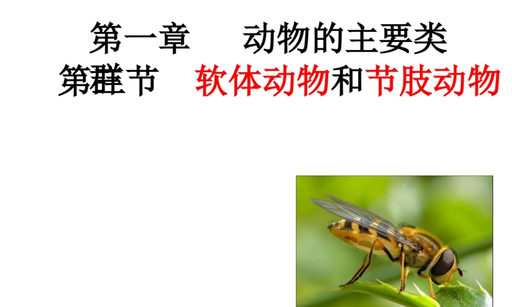 八年级生物上册 5.1.3《软体动物和节肢动物》课件1 （新版）新人教版-（新版）新人教级上册生物课件