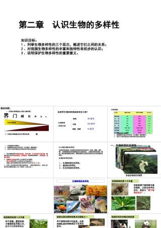 八年级生物上册 6.2《认识生物的多样性》课件3 （新版）新人教版-（新版）新人教级上册生物课件