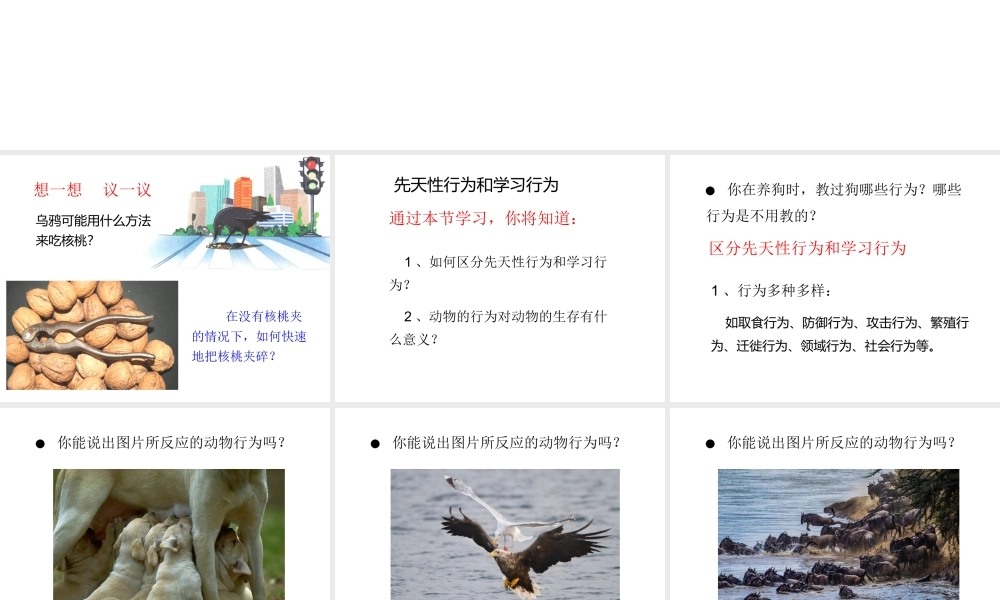 八年级生物上册 5.2.2 先天性行为和学习行为课件3 （新版）新人教版