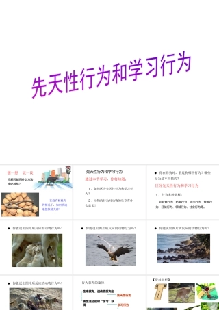 八年级生物上册 5.2.2 先天性行为和学习行为课件3 （新版）新人教版