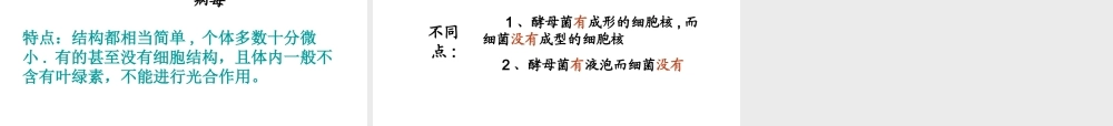 八年级生物上册 5.4.3 真菌课件 （新版）新人教版-（新版）新人教级上册生物课件
