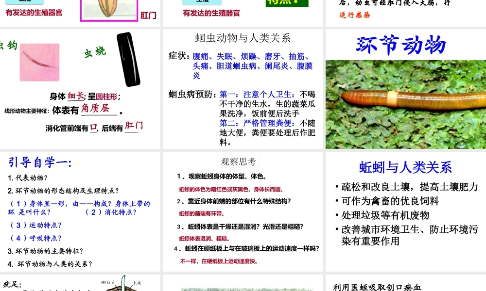 八年级生物上册 5.1.2 线形动物和环节动物课件 （新版）新人教版-（新版）新人教级上册生物课件