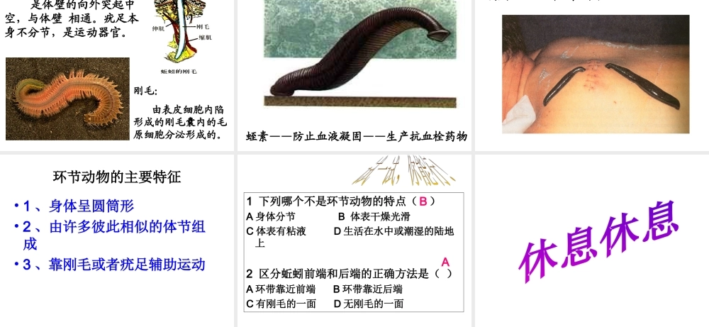 八年级生物上册 5.1.2 线形动物和环节动物课件 （新版）新人教版-（新版）新人教级上册生物课件