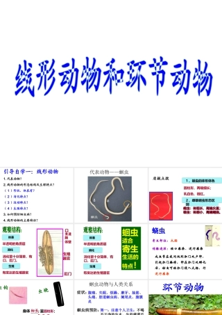 八年级生物上册 5.1.2 线形动物和环节动物课件 （新版）新人教版-（新版）新人教级上册生物课件
