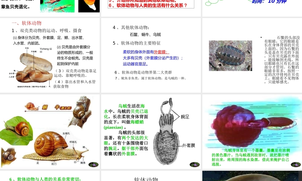 八年级生物上册 5.1.3《软体动物和节肢动物》课件2 （新版）新人教版-（新版）新人教版初中八年级上册生物课件