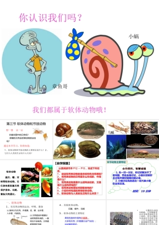 八年级生物上册 5.1.3《软体动物和节肢动物》课件2 （新版）新人教版-（新版）新人教版初中八年级上册生物课件