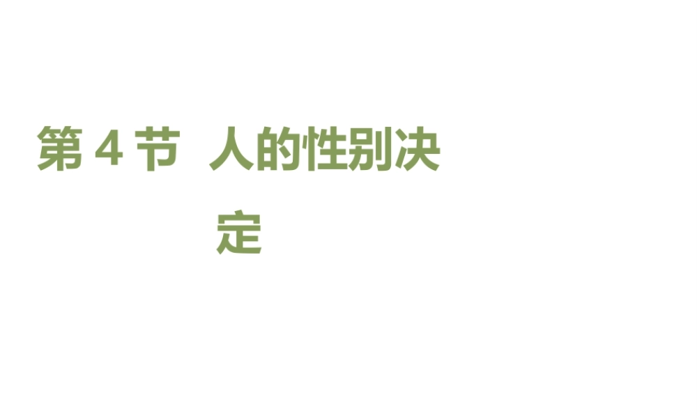 八年级生物上册 20.4 性别和性别决定课件（1）（新版）北师大版-（新版）北师大版初中八年级上册生物课件