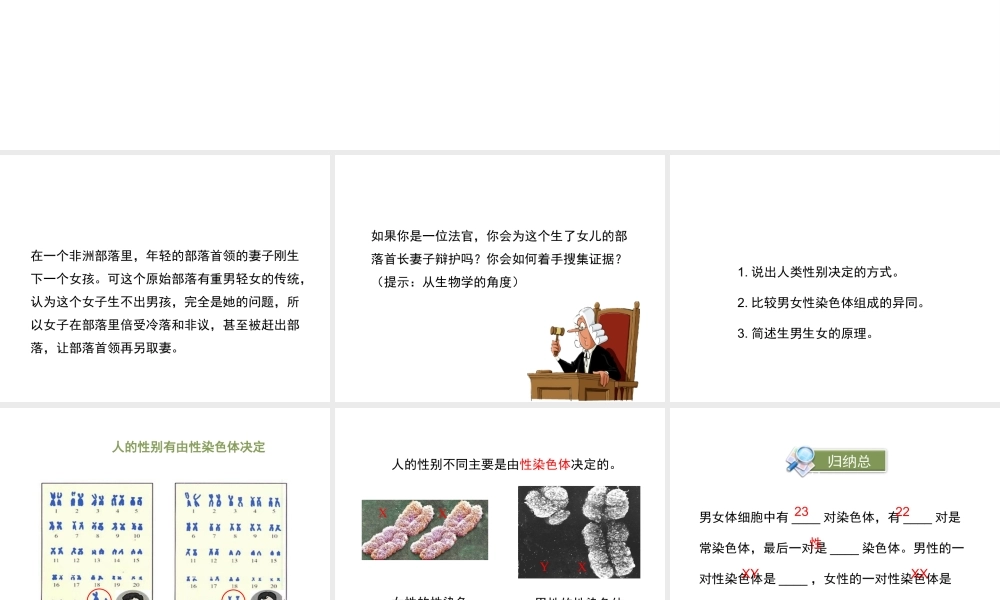 八年级生物上册 20.4 性别和性别决定课件（1）（新版）北师大版-（新版）北师大版初中八年级上册生物课件