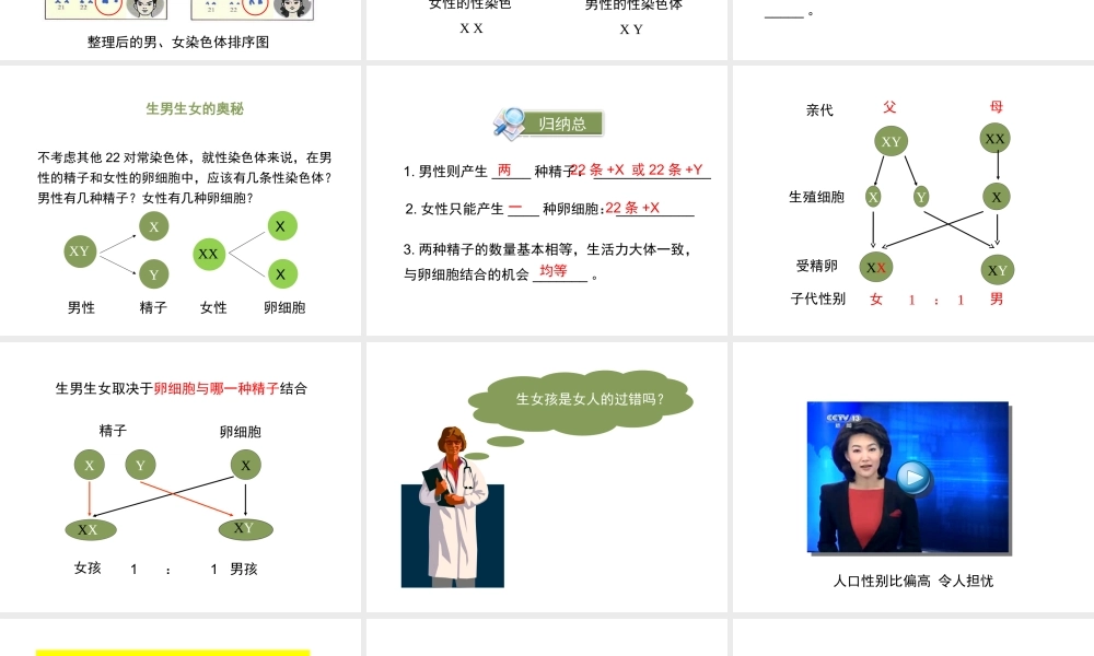 八年级生物上册 20.4 性别和性别决定课件（1）（新版）北师大版-（新版）北师大版初中八年级上册生物课件
