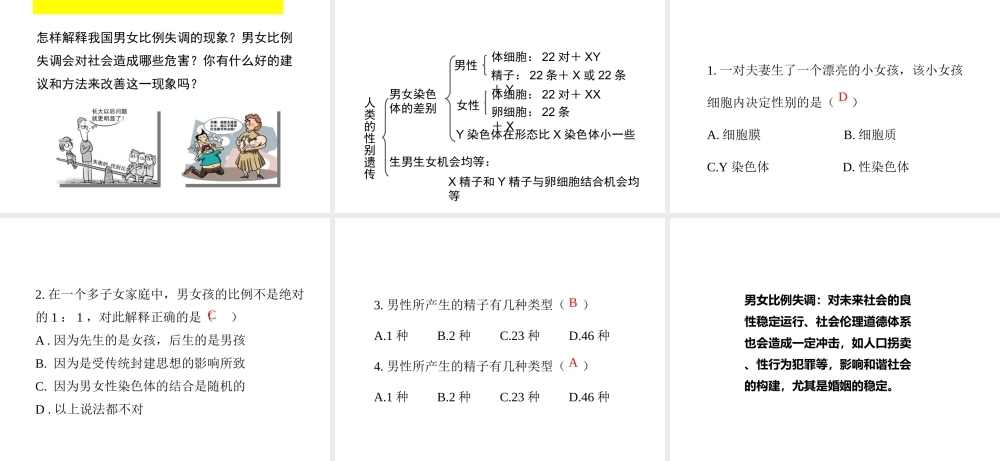八年级生物上册 20.4 性别和性别决定课件（1）（新版）北师大版-（新版）北师大版初中八年级上册生物课件