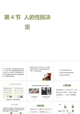 八年级生物上册 20.4 性别和性别决定课件（1）（新版）北师大版-（新版）北师大版初中八年级上册生物课件